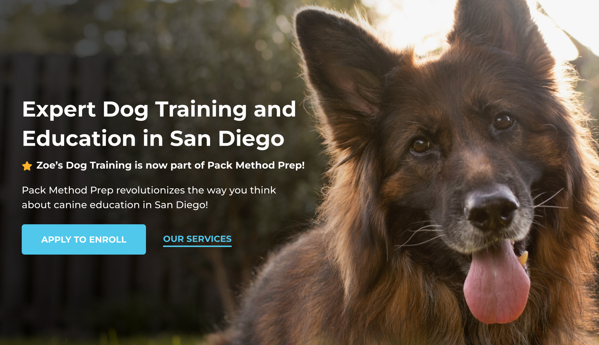 Unleashing Your Pup's Potential: Pack Method Prep in San Diego